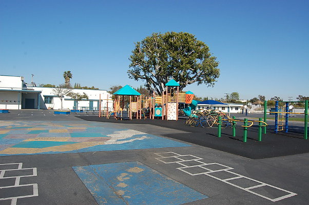 DSC 0251