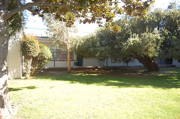 DSC 0226