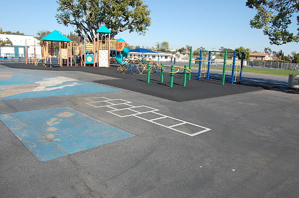 DSC 0250