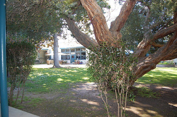 DSC 0293