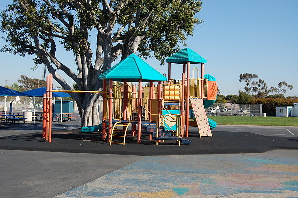 DSC 0255a