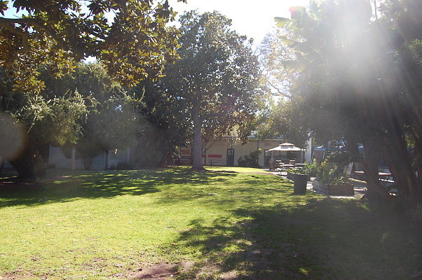DSC 0225