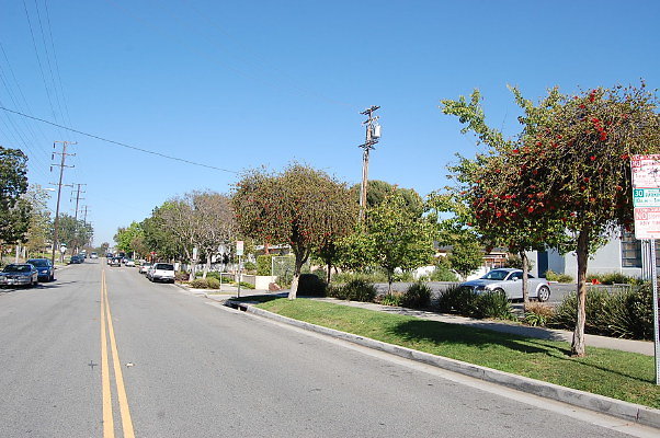 DSC 0212