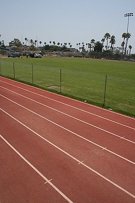 IMG 1747
