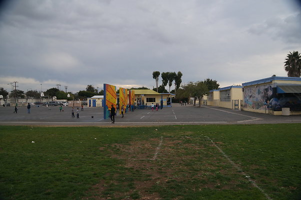 DSC03339