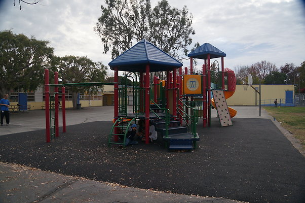 DSC03347