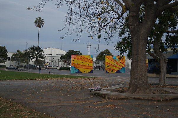 DSC03353