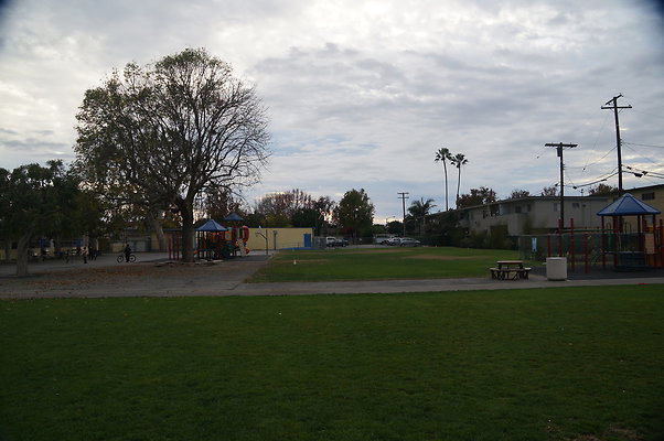 DSC03342