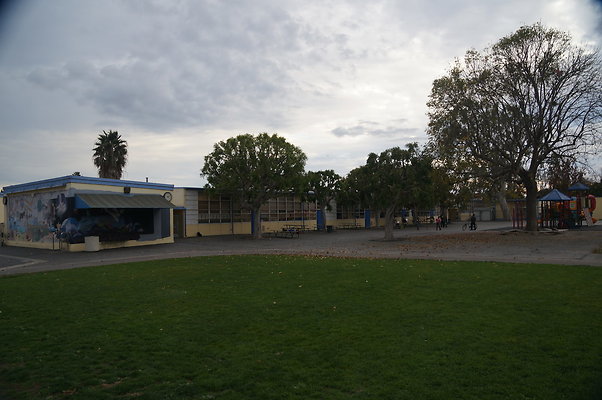 DSC03341