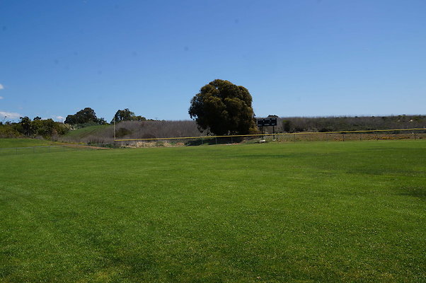 DSC01417