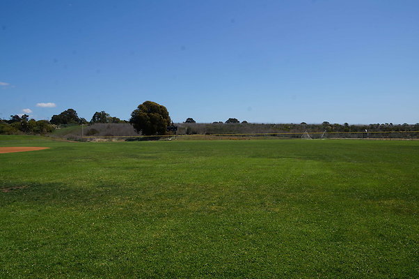 DSC01406