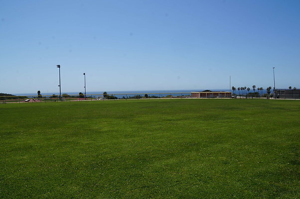 DSC01419