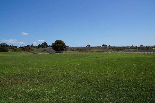 DSC01403