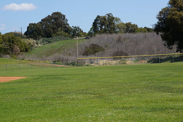 DSC01408