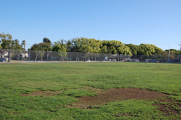 DSC 0427