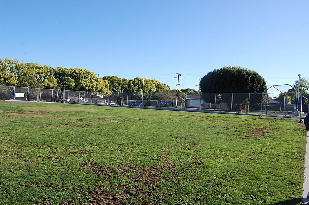 DSC 0433