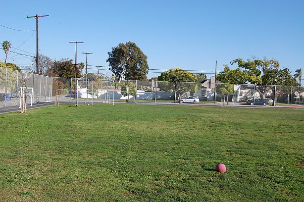DSC 0426