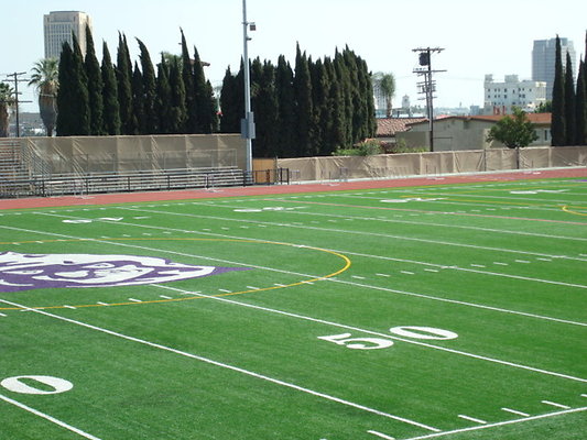 Cathedral.HS.Field.03
