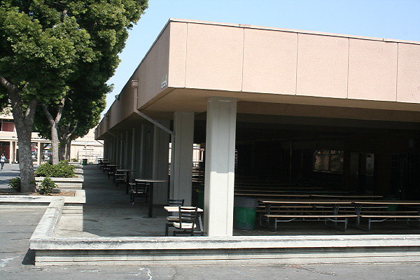 IMG 0383
