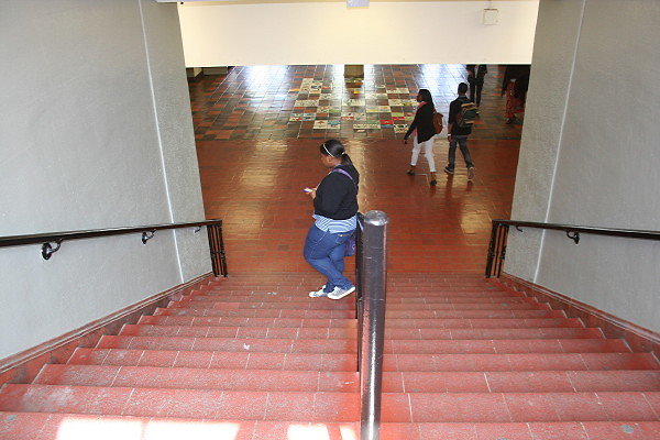 IMG 0420