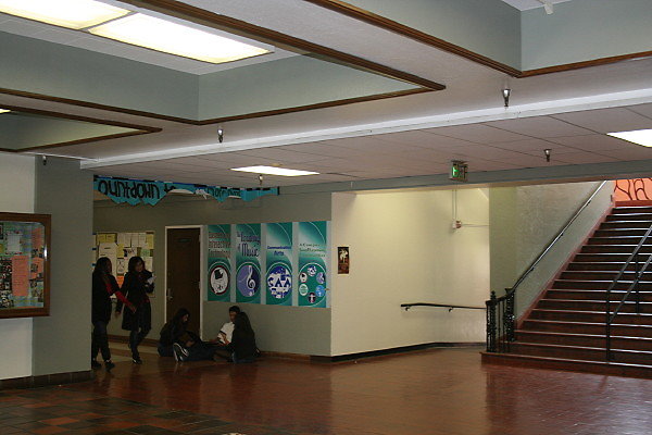 IMG 0354