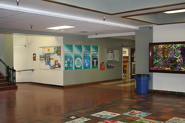 IMG 0355