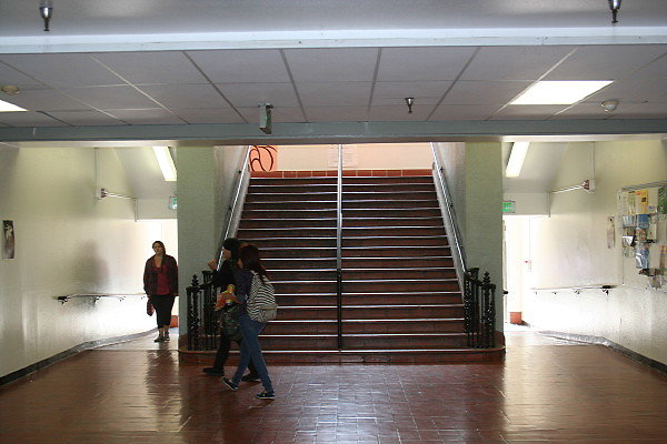 IMG 0353