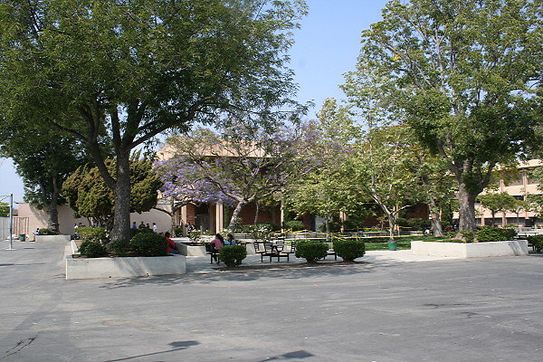 IMG 0381