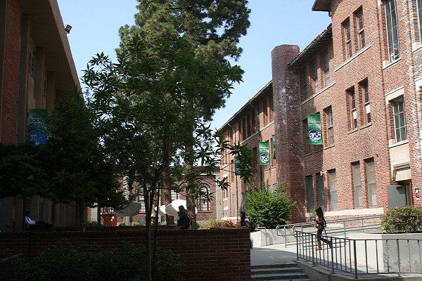 IMG 0367