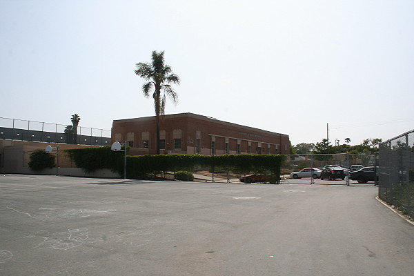 IMG 0397