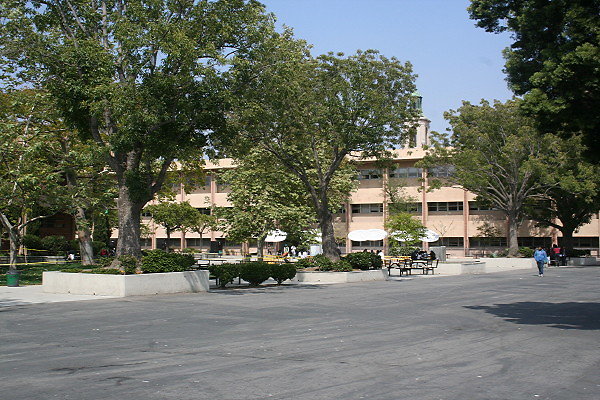 IMG 0382