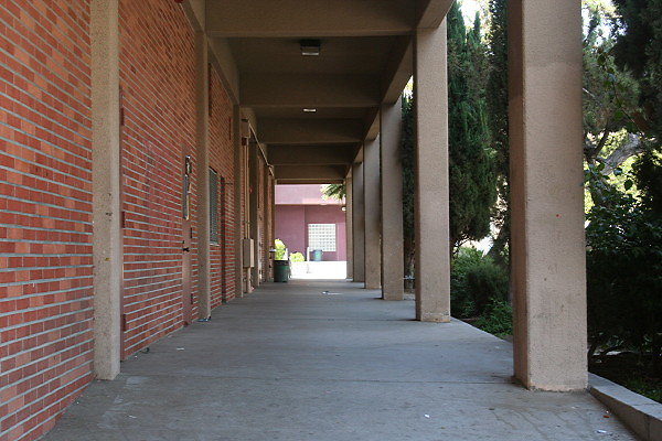 IMG 0376