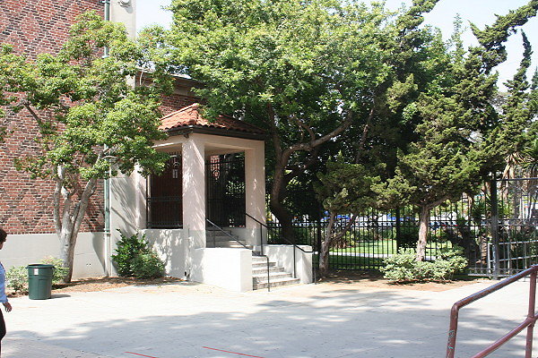 IMG 0361