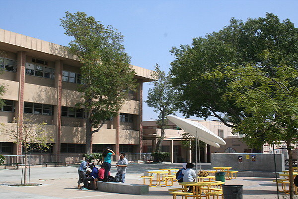 IMG 0379