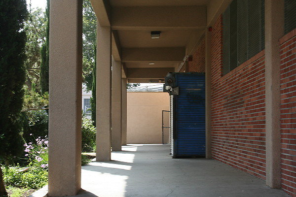 IMG 0377