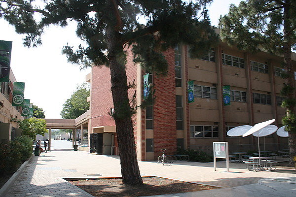 IMG 0371