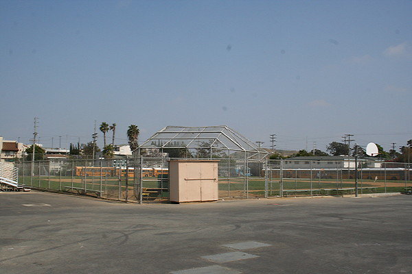 IMG 0400
