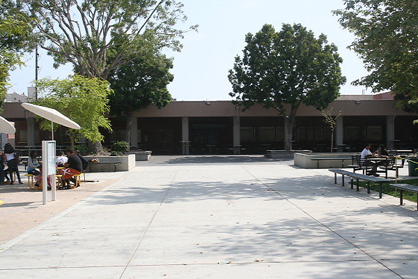 IMG 0378
