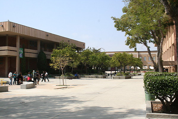 IMG 0372
