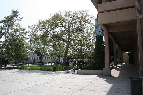 IMG 0375
