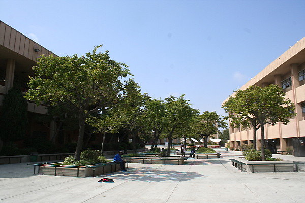 IMG 0373