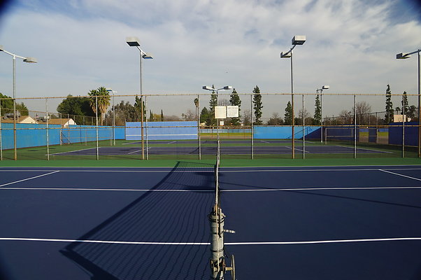 DSC05306