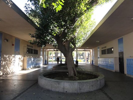 DSC07717