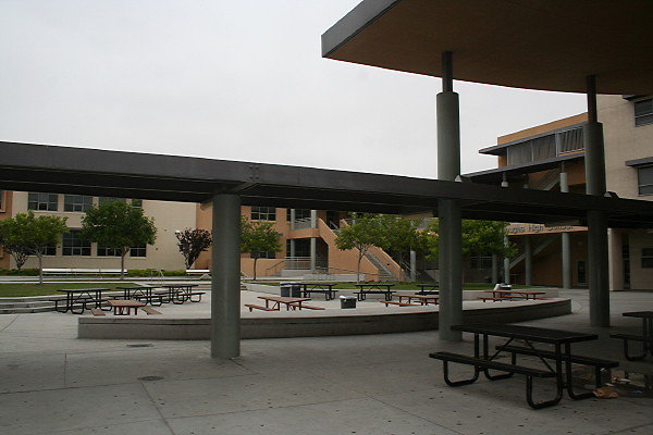 IMG 0179