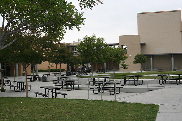 IMG 0162