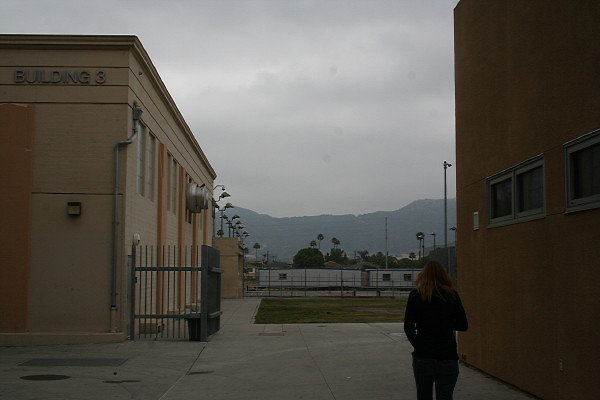 IMG 0185