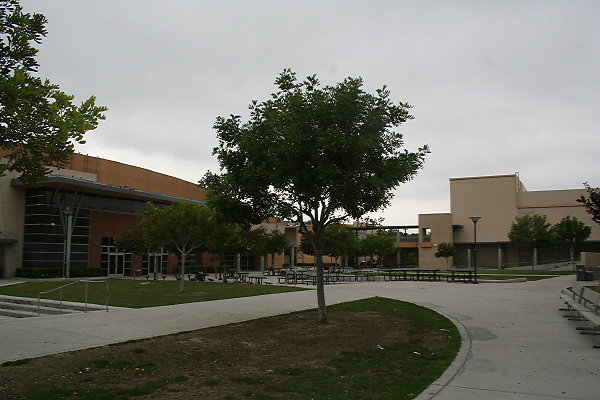 IMG 0155