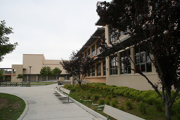 IMG 0156