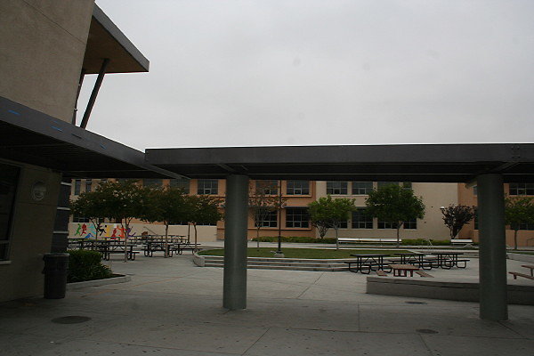 IMG 0180