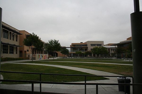 IMG 0192